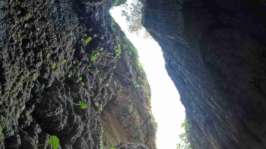 Grüne Pflanzen wachsen an steilen Felswänden in der Schlucht von Theletra, Zypern – Lichtstrahlen durchbrechen die enge Schluchtöffnung